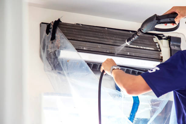 Best Air Duct Mold Removal  in Henderson, GA