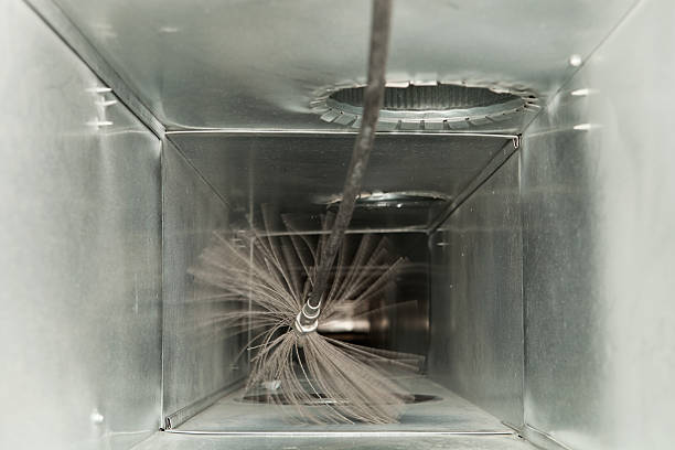 Air Duct Mold Removal in GA