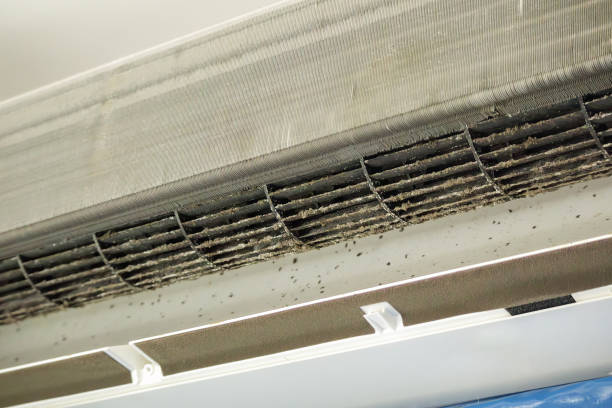 Best Affordable HVAC Duct Cleaning  in Henderson, GA